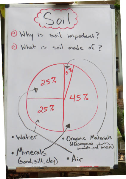 olg-soil-diagram